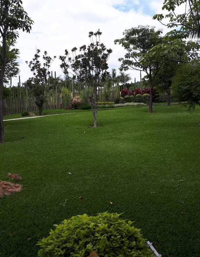 Servicio de Arbolado