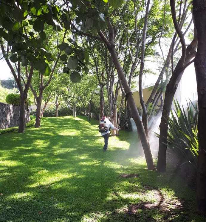 Control de plagas&nbsp;