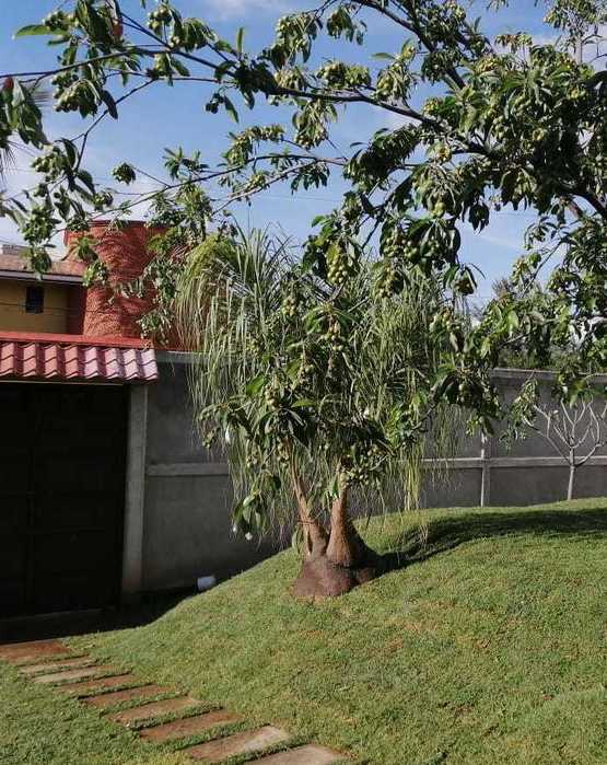 Paisajismo Velásquez siempre comprometidos con la naturaleza.&nbsp;